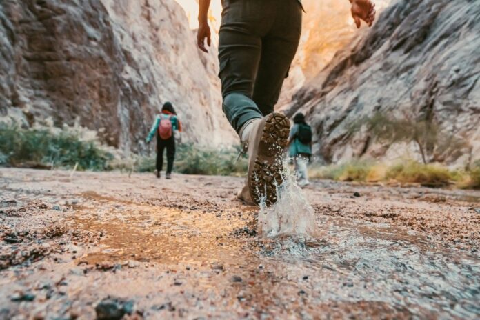 Hiking Boots vs Trail Runners Which is Better for Hiking
