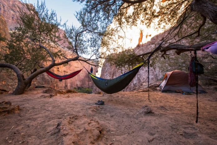 Tent vs Hammock Camping Which is Better for Your Next Adventure